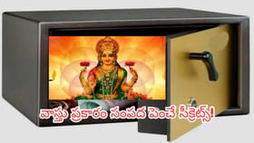 మీ ఇంటి లాకర్ ఏ దిశలో తెరుచుకుంటోంది? లక్ష్మీ కటాక్షానికి ఇదే..