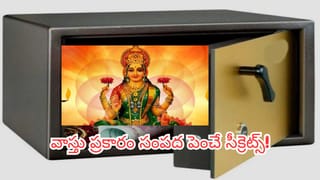 Vastu Tips: మీ ఇంటి లాకర్ ఏ దిశలో తెరుచుకుంటోంది? లక్ష్మీ కటాక్షానికి ఇదే కీలకమట!