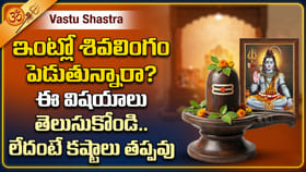 ఇంట్లో శివలింగం పెడుతున్నారా? ఈ విషయాలు తెలుసుకోండి