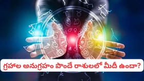 ఈ 6 రాశులపై లక్ష్మీదేవి కటాక్షం.. డిసెంబర్ వరకు ధనవర్షం, కెరీర్‌