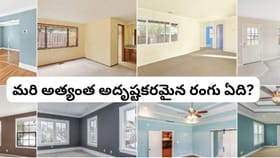 ఇంటికి ఏ రంగు వేస్తే అదృష్టం కలిసి వస్తుంది? వాస్తు చెప్పే..