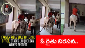 సారూ.. యాదికుందా? 'ఎద్దు'రుతిరిగిన రైతు.. Video వైరల్