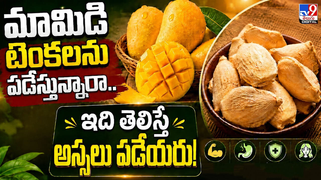 మామిడి టెంకలను పడేస్తున్నారా.. ఇది తెలిస్తే అస్సలు పడేయరు మామిడి టెంకలను పడేస్తున్నారా.. ఇది తెలిస్తే అస్సలు పడేయరు