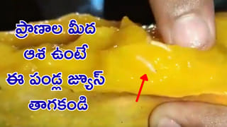పూర్తి అధికారం వారిదే.. ఆన్‌లైన్ బెట్టింగ్‌ గేమ్స్ నిషేధంపై సుప్రీంకోర్టు సంచలన తీర్పు