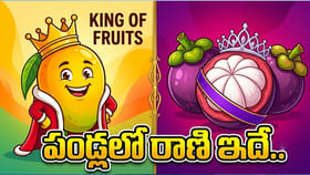 పండ్లలో రాజు మామిడి.. మరి రాణి ఎవరో తెలుసా..?