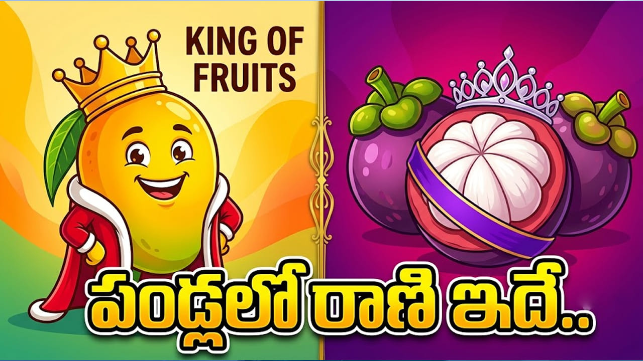 పండ్లలో రాజు మామిడి.. మరి రాణి ఎవరో తెలుసా..? 100శాతం మందికి ఈ విషయం తెలియదు..