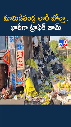 రోడ్డు పక్క మామిడిపండ్ల లారీ బోల్తా..ఇదిగో వీడియో