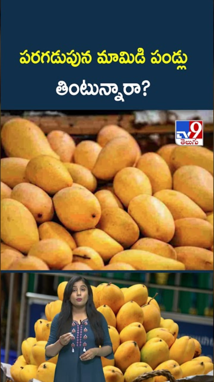 Mango Season: మామిడి పండ్లు పరగడుపున తింటున్నారా?
