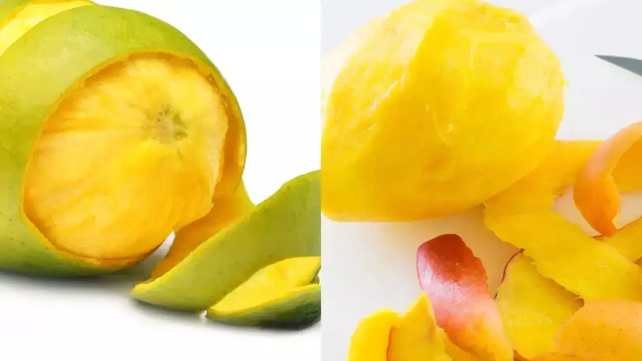 మామిడి తొక్కల పొడి (Mango Peel Powder): తొక్కలను బాగా కడిగి, ఎండబెట్టి పొడిలా చేసుకోవాలి. ఈ పొడిని ఉదయం పూట స్మూతీస్, జ్యూస్లు లేదా సూప్లలో ఒక చెంచా కలుపుకుని తాగడం వల్ల శరీరానికి మంచి ఫైబర్ అందుతుంది. ఇది బరువు తగ్గాలనుకునే వారికి ఎంతో మేలు చేస్తుంది.