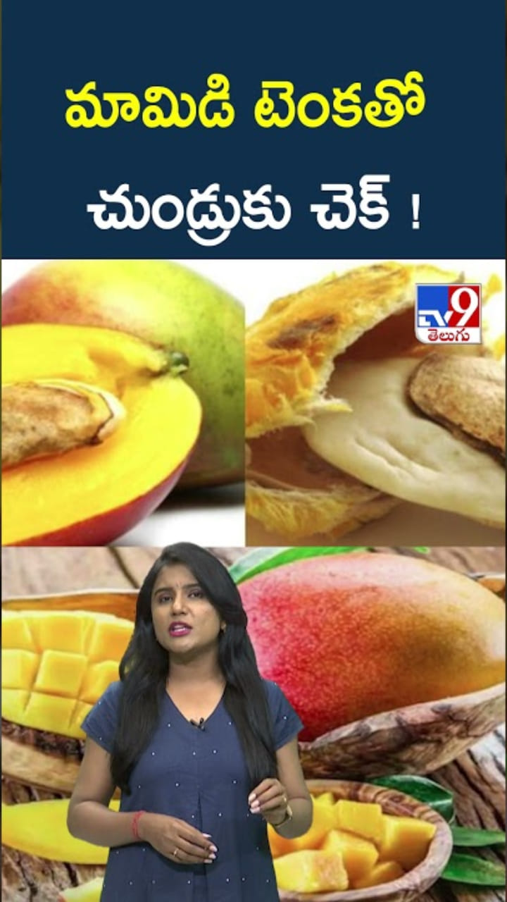 Mango Seeds: మామిడి టెంకతో చుండ్రు సమస్యకు చెక్ !