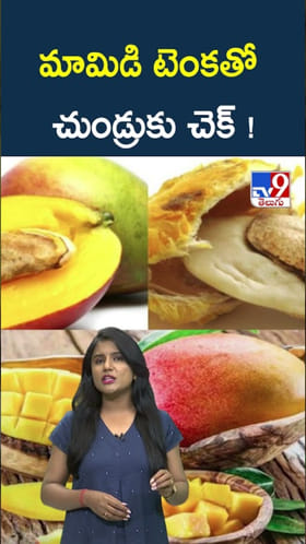 Mango Seeds: మామిడి టెంకతో చుండ్రు సమస్యకు చెక్ !