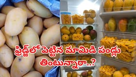 ఫ్రిజ్‌లో పెట్టిన మామిడిపండ్లను తినొచ్చా? ఈ విషయాలు తెలియకపోవచ్చు