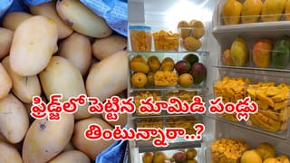 Chicken Keema Masala Recipe: నోట్లో వేస్తే వెన్నలా కరిగిపోయే ‘చికెన్ కీమా మసాలా’.. దోశ, చపాతీల్లోకి అదిరిపోయే బెస్ట్ కాంబినేషన్!