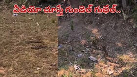 పొలం పక్కన కాలువ నుంచి వింత శబ్దాలు.. ఏంటా అని చూసిన రైతులకు..