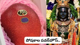 రామ్ లల్లాకు ప్రపంచంలోనే అత్యంత ఖరీదైన మామిడి నైవేద్యం..