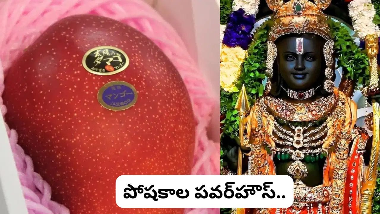 ప్రపంచంలోనే అత్యంత ఖరీదైన మామిడి రామ్ లల్లా పాదాల చెంత.. ఒక్క పండు ధర ఎంతంటే షాక్!