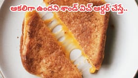 శాండ్‌విచ్ ఆర్డర్ చేసి తింటుండగా నోటికి తగిలిన వస్తువు..