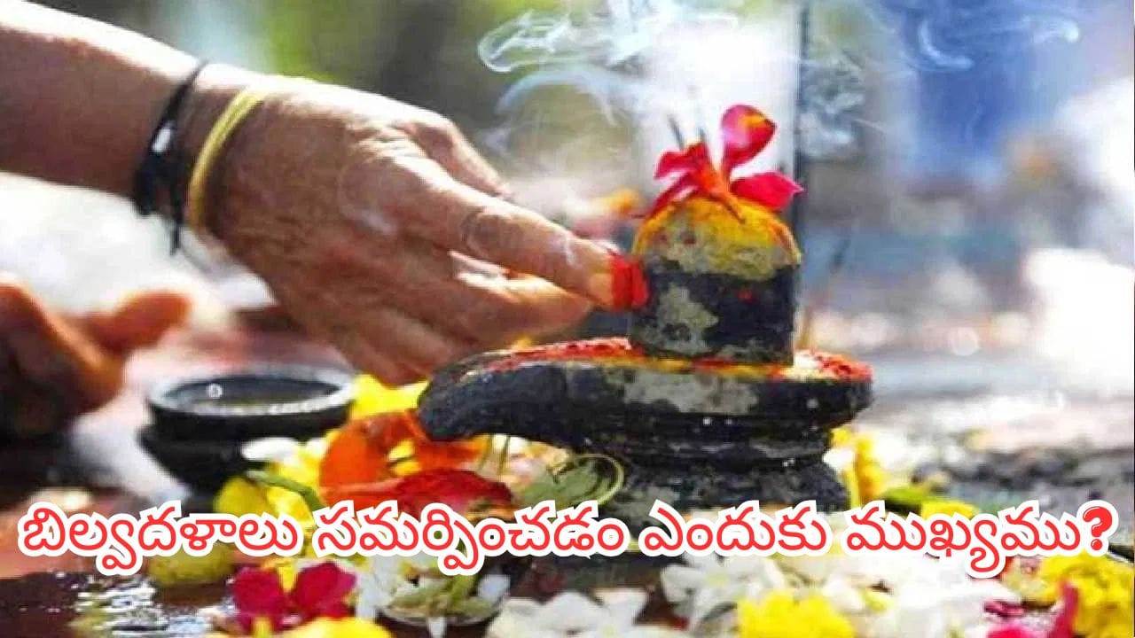 సోమవారం శివాలయానికి వెళ్లలేకపోతున్నారా? ఇంట్లోనే ఈ విధంగా పూజిస్తే శివుడి అనుగ్రహం ఖాయం!