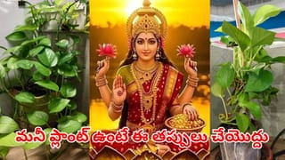 Kitchen Tips: కర్రీలో కారం ఎక్కువైందా?.. ఈ చిన్న చిట్కాతో క్షణాల్లో తగ్గించండి