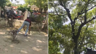 ఈ సిటీలో గుడ్డు అమ్మినా జైలుకే.. మన దేశంలోనే ఉన్న ఈ నగరం ఎక్కడుందో తెలుసా?