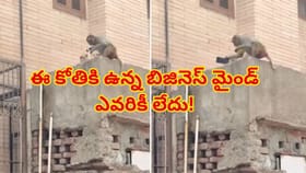 ఏం తెలివిరా సామీ? స్మార్ట్‌ కోతి..గివ్ అండ్ టేక్ బిజినెస్ చూశారో