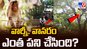 చెట్టుపైనుంచి నోట్ల వర్షం కురిపించిన కోతి..
