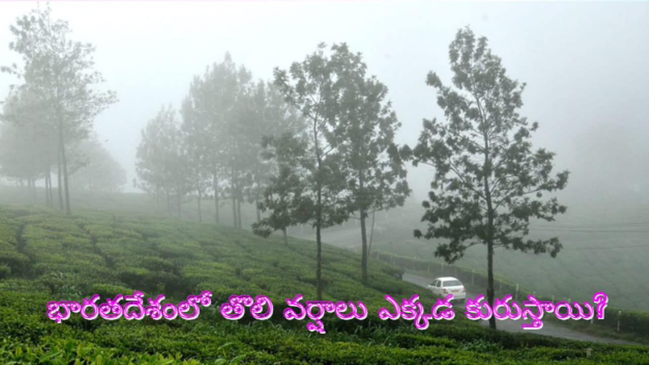 Monsoon Facts: ప్రతి ఏడాది వర్షాలు ఎలా వస్తాయి? రుతుపవనాల వెనుక ఉన్న సైన్స్ ఇదే!