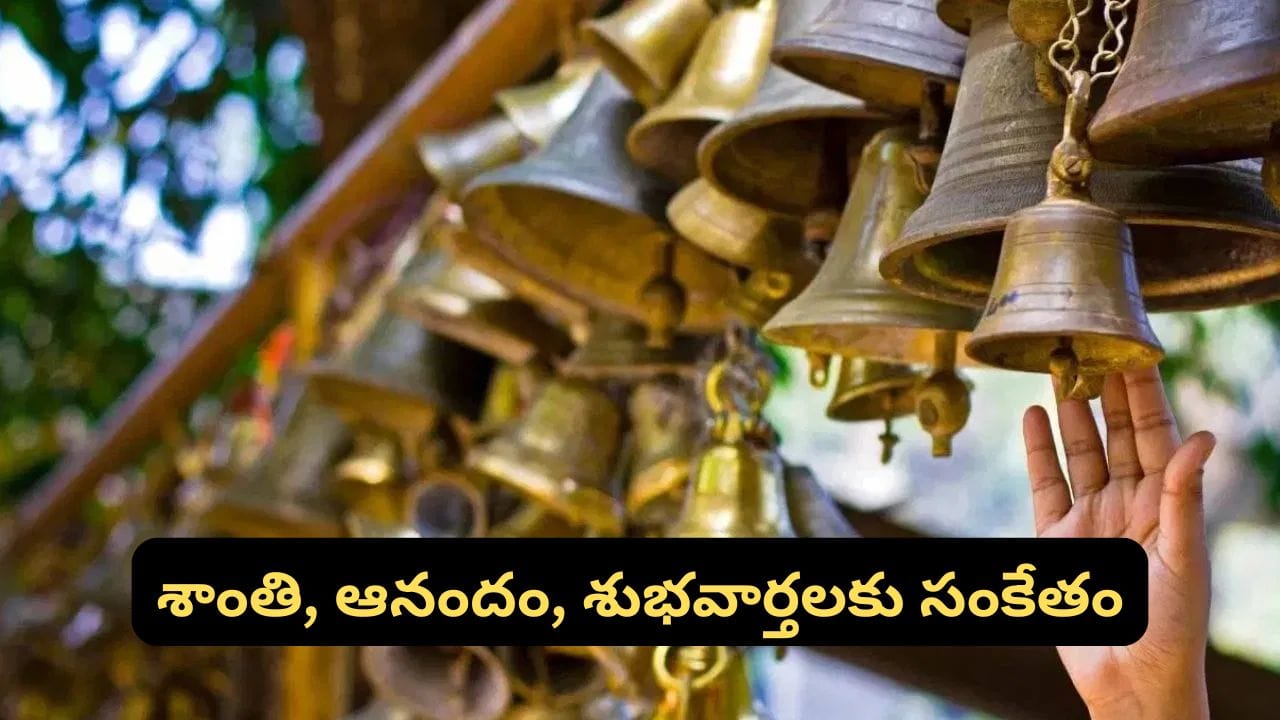 Vastu Tips: ఉదయం ఈ 3 శబ్దాలు విన్నారా? వాస్తు ప్రకారం మీ రోజు మారిపోతుంది.. విజయం, శుభవార్తలు మీవే!