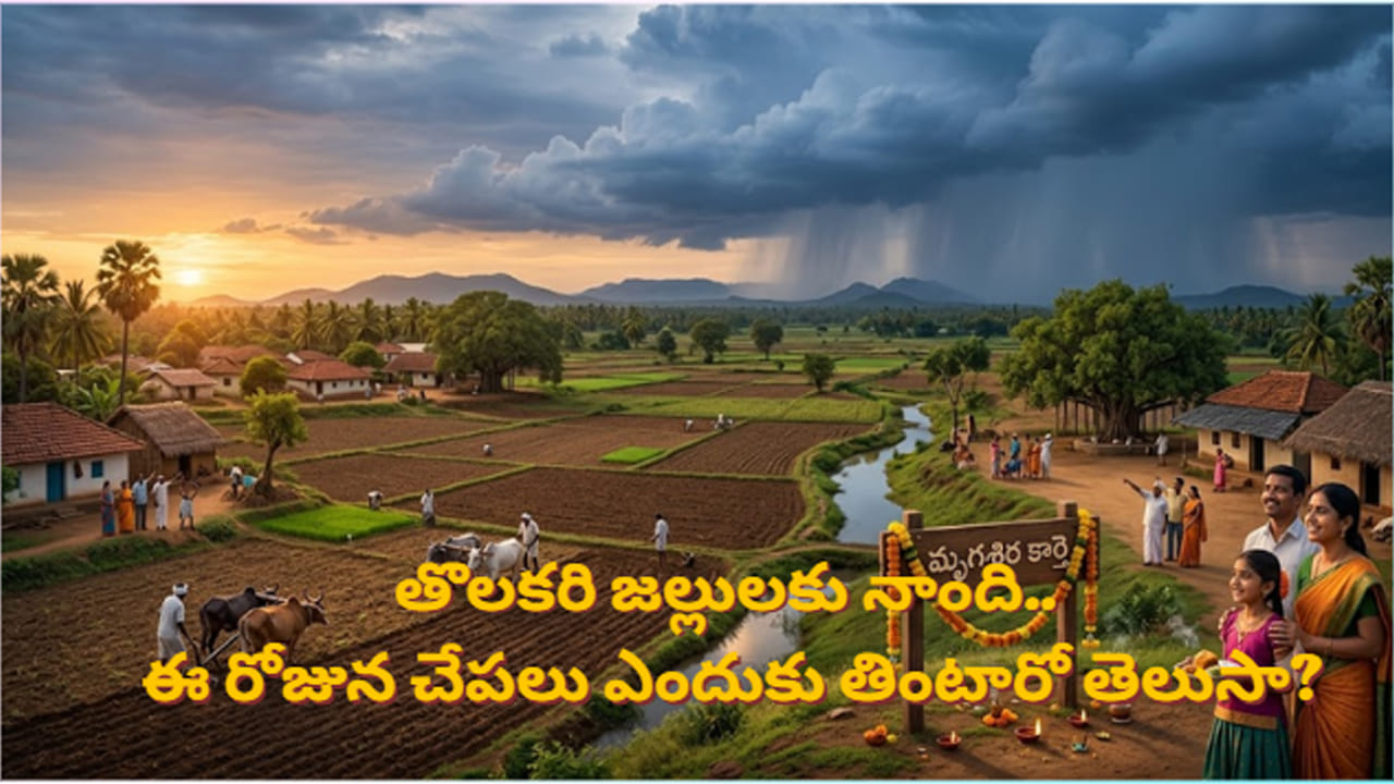 Mrigasira Karte: మృగశిర కార్తె వచ్చేసింది.. తొలకరి జల్లులు, చేపల సంప్రదాయం వెనుక ఉన్న రహస్యమేమిటి?