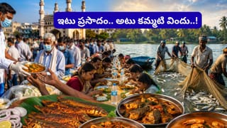 నెమలి పిల్లలు ఎలా ఉంటాయో తెలుసా..? పుట్టినప్పుడు రంగురంగుల ఈకలు ఉండవా..!