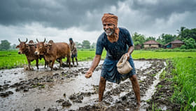 మృగశిర కార్తెలో ఏ పంటలు వేస్తే మంచి దిగుబడి వస్తుందో తెలుసా?
