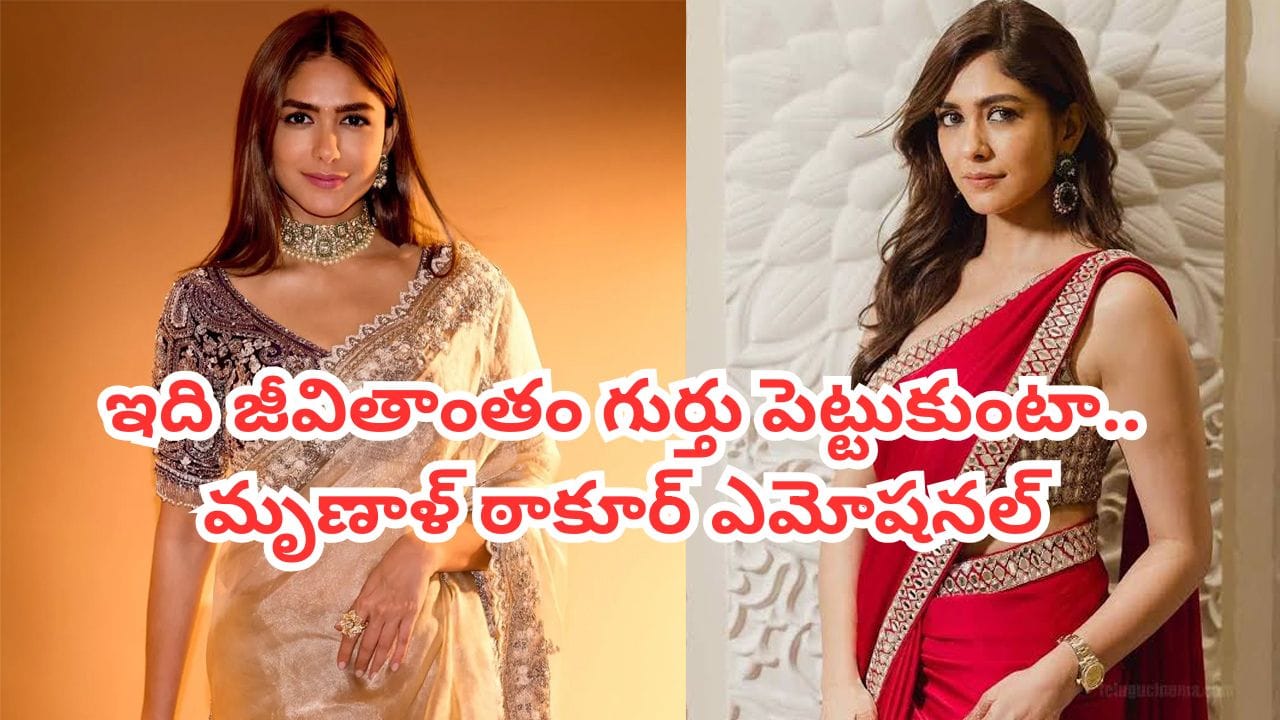 Mrunal Thakur: హీరోయిన్ మృణాళ్ ఠాకూర్ తమ్ముడిని చూశారా? ఏం చేస్తున్నాడో తెలుసా? వీడియో ఇదిగో