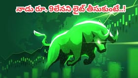 Multibagger Stock: లక్ష పెట్టుబడితో ఏకంగా రూ. 68 లక్షల లాభం..