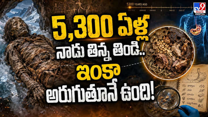 5,300 ఏళ్ల నాడు తిన్న తిండి.. ఇంకా అరుగుతూనే ఉంది 5,300 ఏళ్ల నాడు తిన్న తిండి.. ఇంకా అరుగుతూనే ఉంది