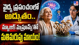 వైద్య ప్రపంచంలో అద్భుతం.. మ్యాజిక్ మష్రూమ్స్'తో మతిమరుపు మాయం
