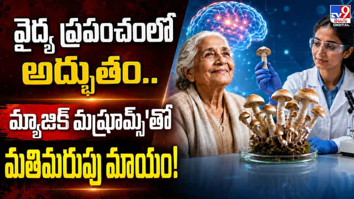 వైద్య ప్రపంచంలో అద్భుతం.. మ్యాజిక్ మష్రూమ్స్'తో మతిమరుపు మాయం వైద్య ప్రపంచంలో అద్భుతం.. మ్యాజిక్ మష్రూమ్స్'తో మతిమరుపు మాయం