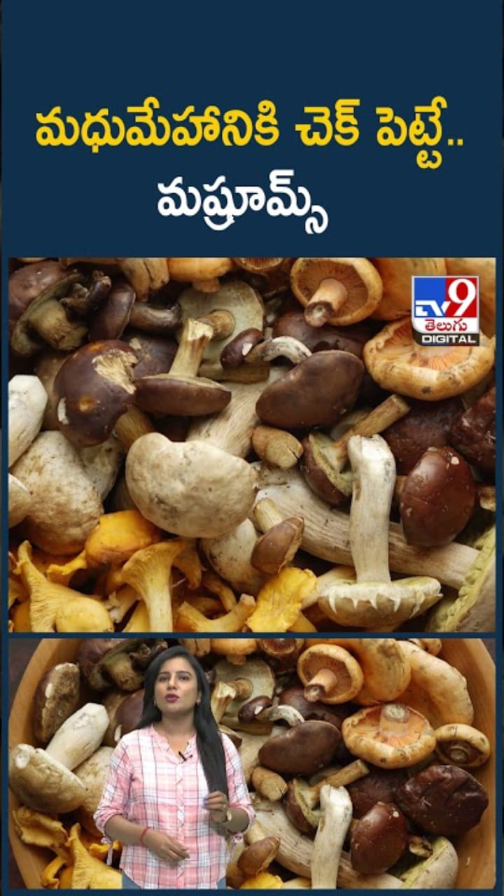 Mushrooms: మధుమేహానికి చెక్ పెట్టే పుట్టగొడుగులు..