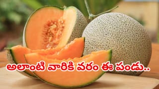 ప్లాస్టిక్ స్పాంజ్‌తో గిన్నెలు తోముతున్నారా? పర్యావరణానికి ఎంత నష్టం చేస్తున్నారో తెలుసా