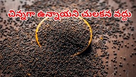 చిన్నగా ఉన్నాయని చులకన వద్దు.. ప్రయోజనాలు తెలిస్తే..కేజీలు కేజీలు