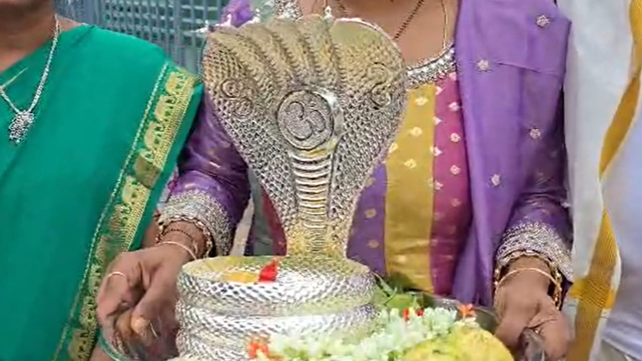 ఐదు శిరస్సులతో అత్యంత సుందరంగా, కళాత్మకంగా రూపొందించిన ఈ నాగభరణం కాంతివంతంగా మెరిసిపోతూ దర్శనార్థులను ఆకర్షిస్తోంది. వెండితో చేసినప్పటికీ దీనిపై చేసిన శిల్పకళ, రూపకల్పన ఎంతో ప్రత్యేకంగా ఉండటంతో దీనిని చూసేందుకు భక్తులకు రెండు కళ్లూ చాలడం లేదని ఆలయ వర్గాలు చెబుతున్నాయి.