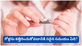 రాత్రిపూట గోళ్లు కత్తిరించుకోవద్దని ఎందుకు చెబుతారు? మూఢనమ్మకం..