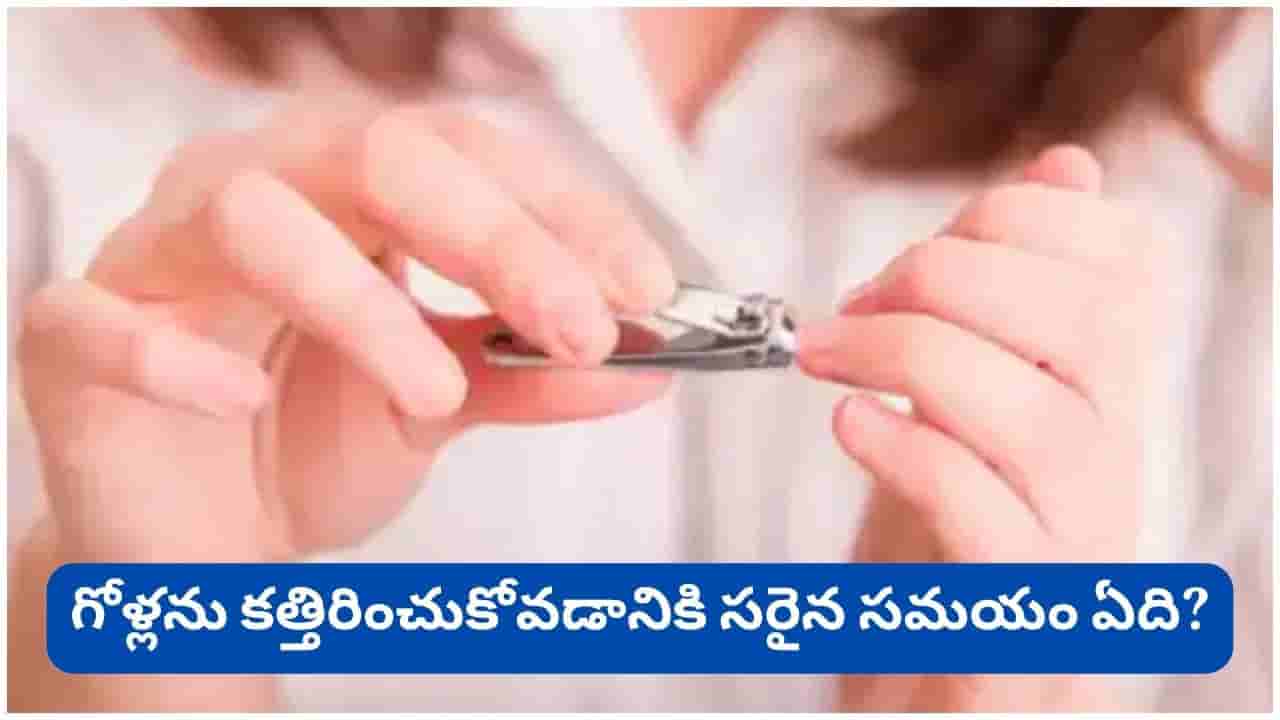 రాత్రిపూట గోళ్లు కత్తిరించుకోవద్దని ఎందుకు చెబుతారు? మూఢనమ్మకం కాదు.. ఆశ్చర్యపరిచే అసలు కారణాలు ఇవే!