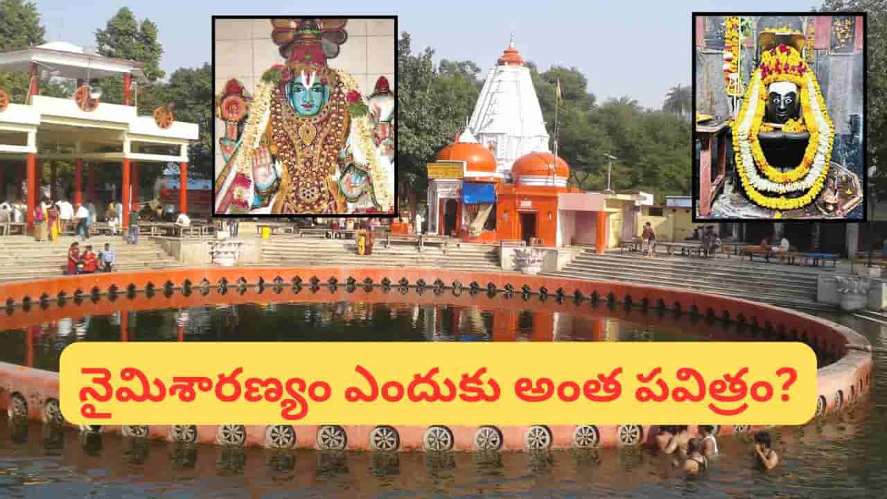 Naimisharanya: హిందువులు జీవితంలో ఒక్కసారైనా దర్శించాల్సిన నైమిశారణ్యం.. పురాణాల పుట్టినిల్లు ఎందుకంటే?
