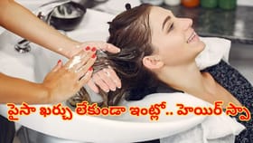 పార్లర్‌కు వెళ్లే పని లేదు.. ఇంట్లోనే ఈజీగాహెయిర్‌ స్పా చేసుకోండి