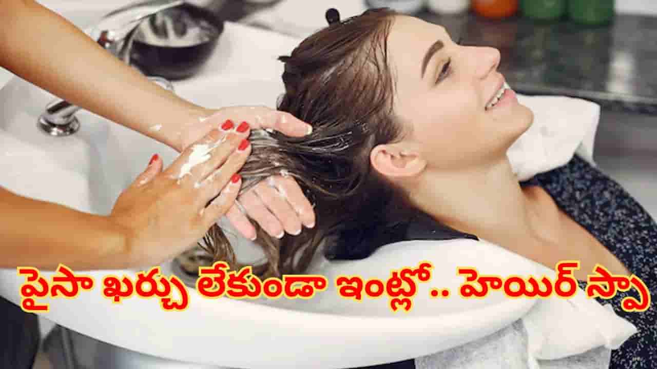 Hair Spa : పార్లర్కు వెళ్లే పని లేదు.. జస్ట్ ఈ సింపుల్ చిట్కాలతో ఇంట్లోనే ఈజీగాహెయిర్ స్పా చేసుకోండి