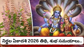 నిర్జల ఏకాదశి.. తులసితో ఈ చిన్న పరిహారాలు చేస్తే ధనలక్ష్మి..