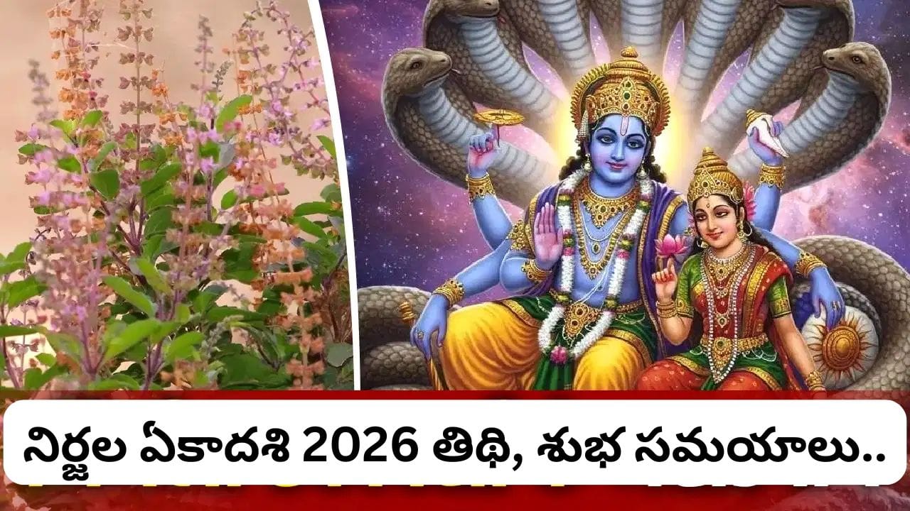 Nirjala Ekadashi: నిర్జల ఏకాదశి.. తులసితో ఈ చిన్న పరిహారాలు చేస్తే ధనలక్ష్మి కటాక్షం లభిస్తుందా?