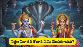 నిర్జల ఏకాదశి వ్రత కథ.. భీముడు చేసిన ఈ ఒక్క వ్రతం వల్ల 26..