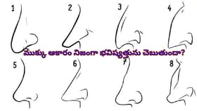 మీ ముక్కు ఆకారం ఏం చెబుతోంది? వ్యక్తిత్వం, అదృష్టం, నాయకత్వ..