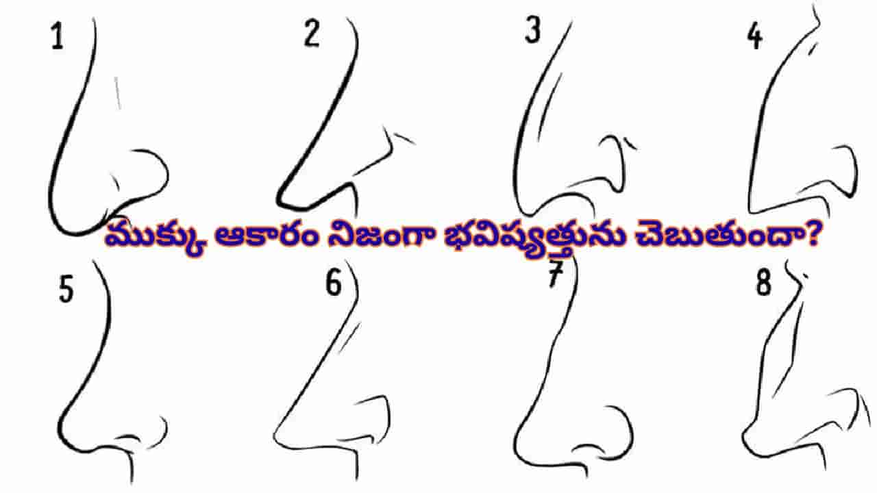 మీ ముక్కు ఆకారం ఏం చెబుతోంది? వ్యక్తిత్వం, అదృష్టం, నాయకత్వ లక్షణాలపై ప్రత్యేక విశ్లేషణ